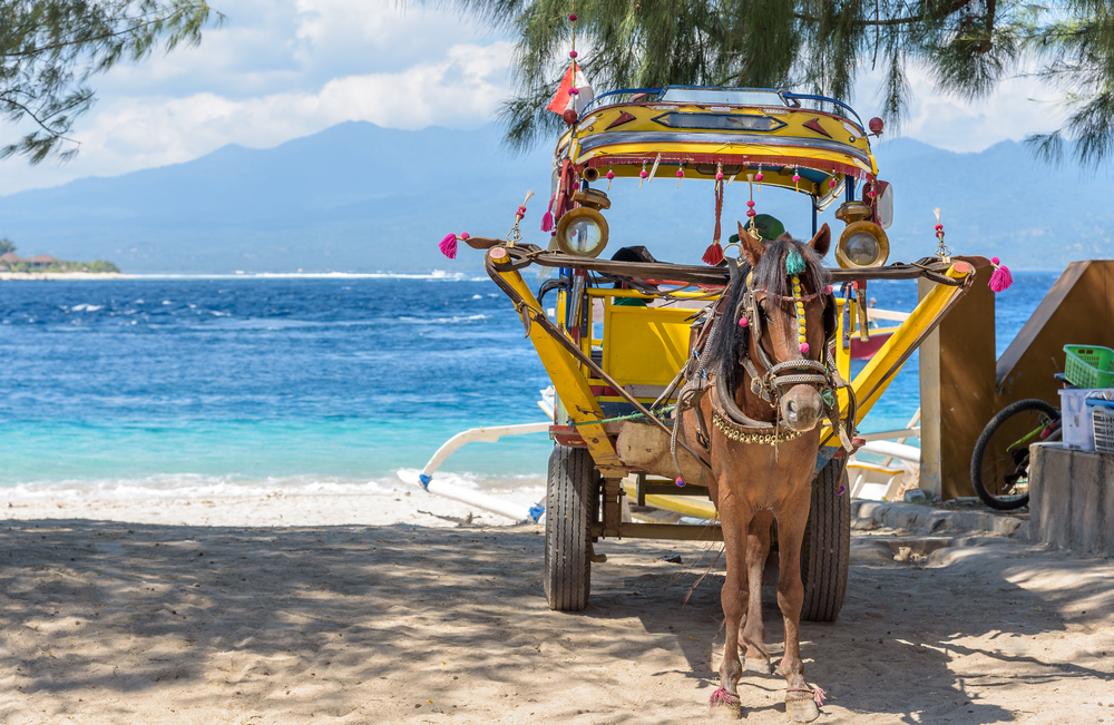 Cidomo after arrival from Bali to Gili Fast Boat